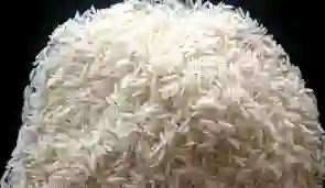 cawall ka aata of How to prepare facepack with rice flour, will get rid of unwanted hair with glowing skin..